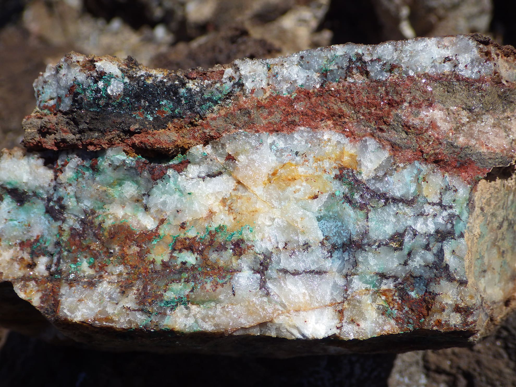 Quartz vein with garnet and chalcopyrite (copper sulfide), and glass limonite replacing chalcopyrite, East Zone