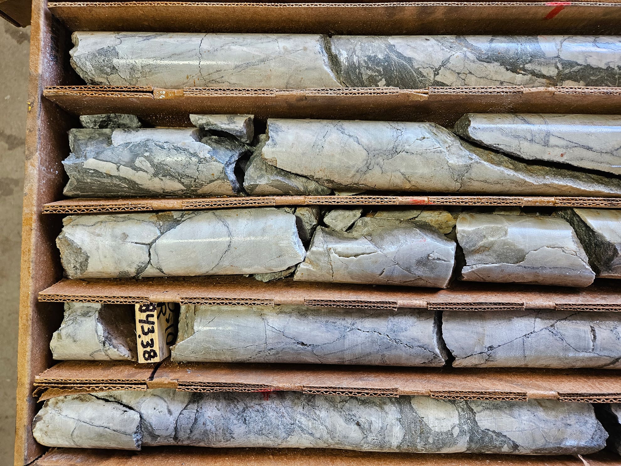 NB26-003; 843m. Ptygmatic sulfide veinlets and local sulfide vein breccia zones in white, high crystallinity, high-Mg hydrothermally dolomitized marble at the contact with a clay-altered, biotite granite porphyry unit.