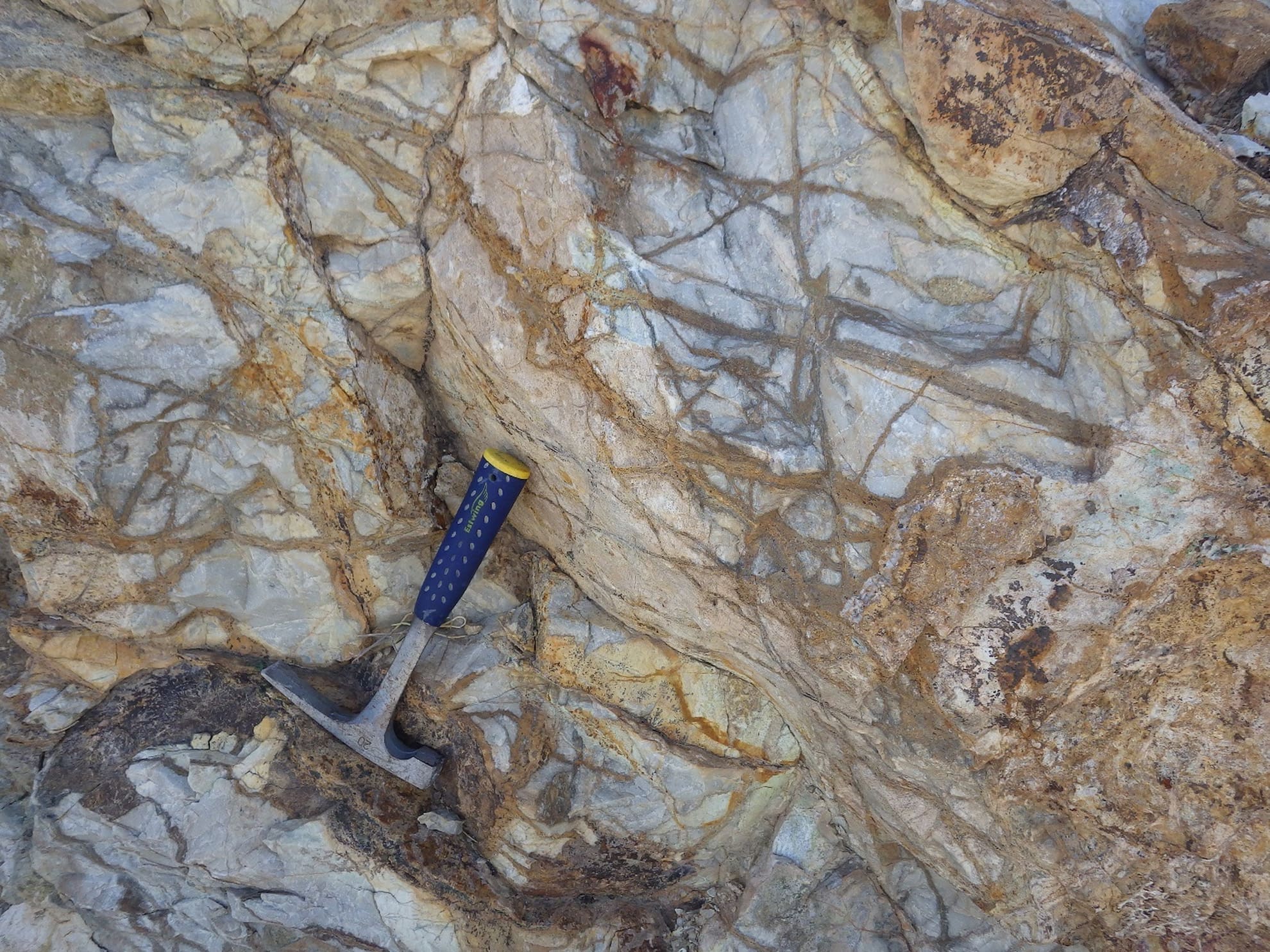Quartz-garnet-copper-moly sulfide veins in white, high crystallinity marble located on the GW ridgeline in between Jeep Mine and East Zone, approximately 750 m to the east of NB26-003.