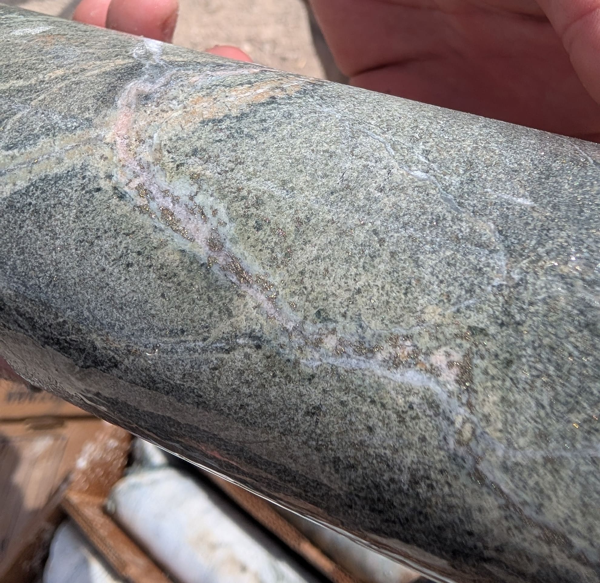 NB26-003; 571-572m. Fine-grained, felty diorite porphyry with disseminated sulfide and sinuous quartz A-veins with vein interior and vein margin sulfide carrying 0.18% Cu and 3.6 g/t Ag.