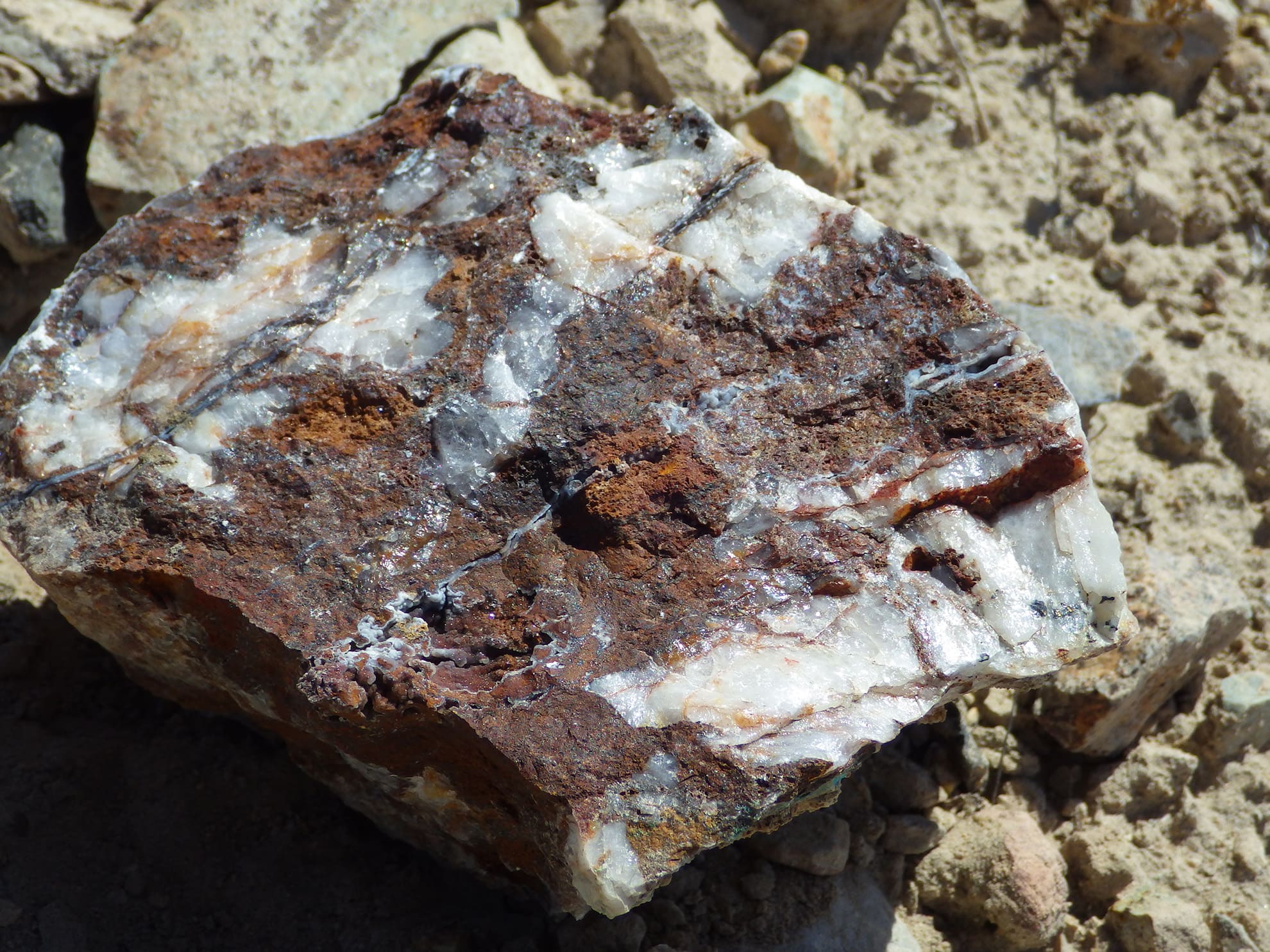 Quartz vein on central GW fault with clots and seams of glassy limonite and copper wad after chalcopyrite (copper sulfide), and 112 g/t silver