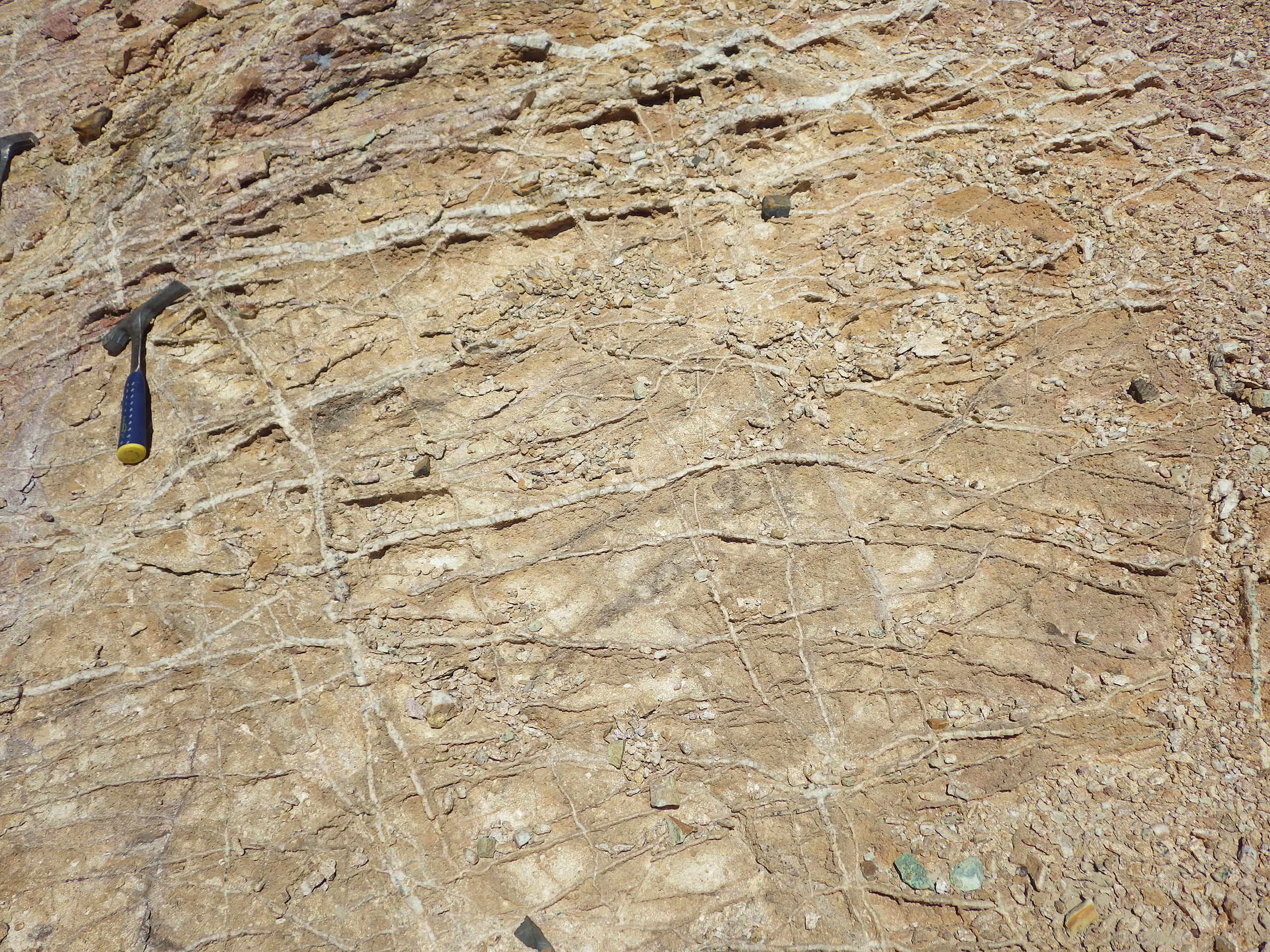 Stockwork veins of quartz with copper oxide after copper sulfide in monzonite porphyry plug, East Zone